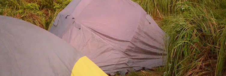 Machame Camp- Shira 2 Camp