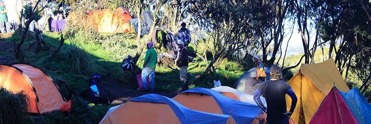 Machame Gate (1630m/5,380 ft) to Machame Camp (2833m/9,350 ft)