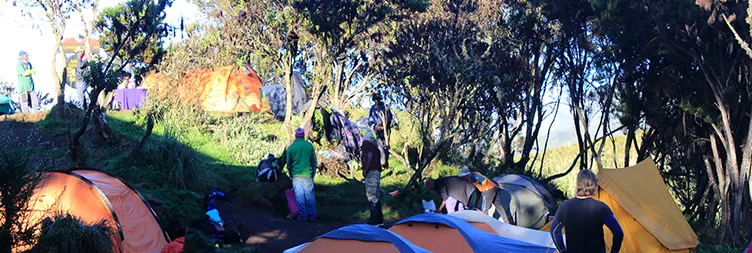 Climbing from Machame Gate (1490m) to Machame Camp (2980m).