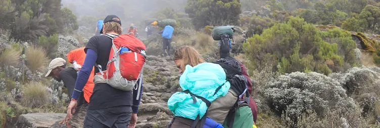 Machame Camp to Shira Camp