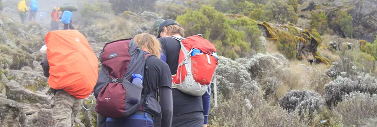 Machame Camp to Shira Camp
