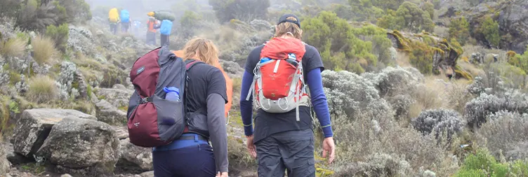 Machame Camp to Shira Camp