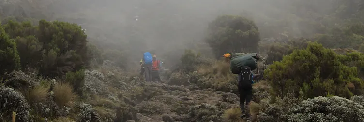 Machame Camp climb to Shira Camp