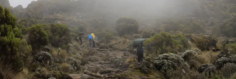 Barranco Camp Karanga Barafu Camp 