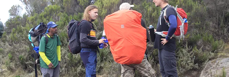 Shira 2 Camp to Lava Tower to Barranco Camp 