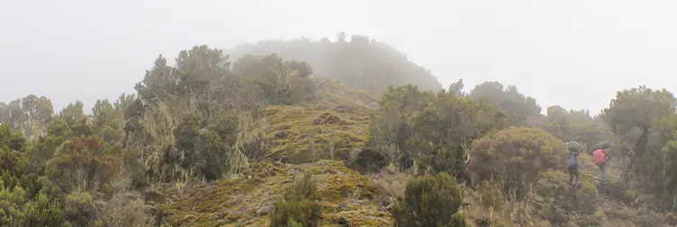 Shira 2 Camp to Lava Tower to Barranco Camp 