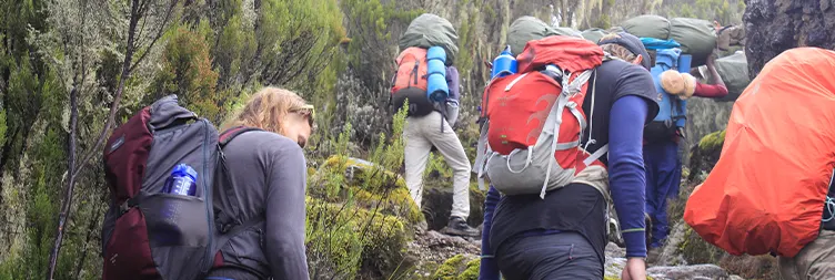 Hiking Kilimanajaro from Machame Camp - Shira cave Camp