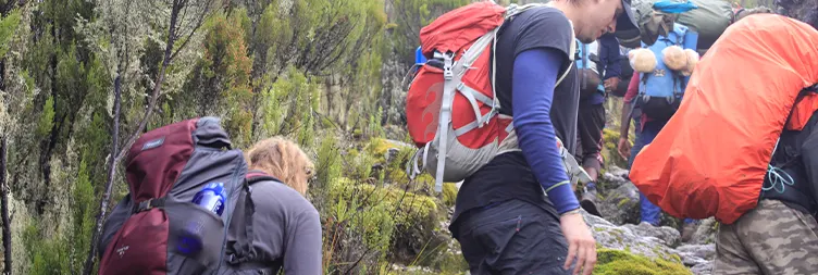  From Machame Camp to Shira Cave Camp