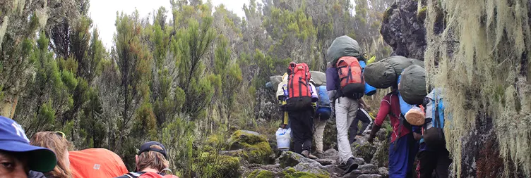 Barranco Camp to Karanga camp