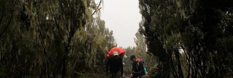 Shira 2 camp to Lava tower to Barranco camp 