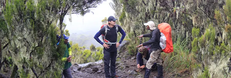  Mweka Camp- Mweka Gate Back to Moshi