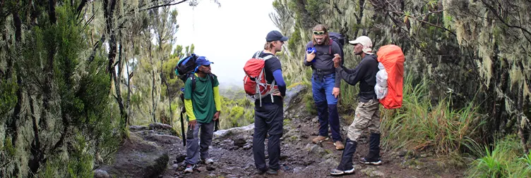 Machame Camp Hike to Shira Cave.