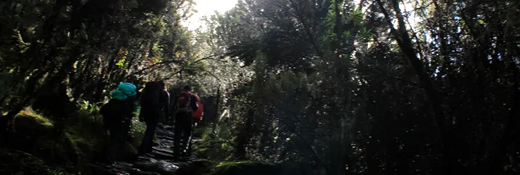Machame Camp (2980m) to Shira Camp (3840m).