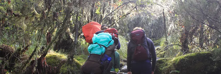 Barranco Camp to Karanga to Barafu Camp 