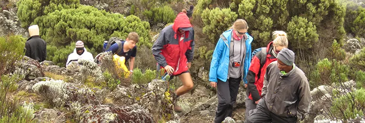 Continue Trekking to Kilimanjaro 2ND Day from Machame Gate to Shira Cave Camp