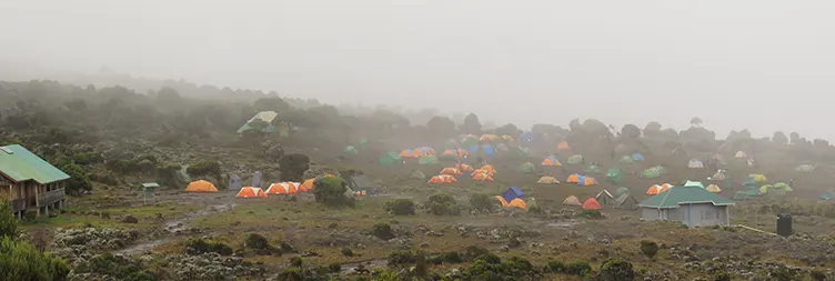  Mweka Camp-Mweka Gate Back to Moshi