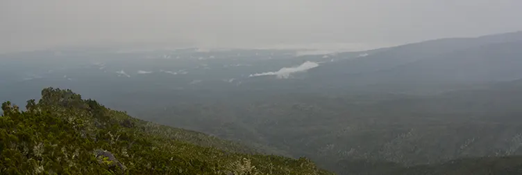 Machame Camp to Shira 2 Camp 