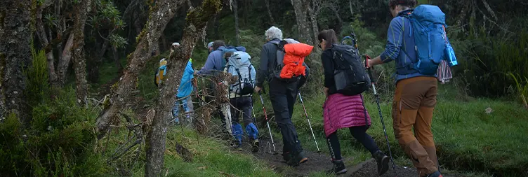 Machame Camp (3,010m) â€“ Shira Cave Camp (3,845m).