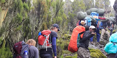 cover-6 Days Machame Marvel Trip of Kilimanjaro Hiking 