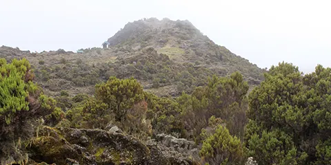 7 Days Kilimanjaro Machame Route Trek of a Lifetime