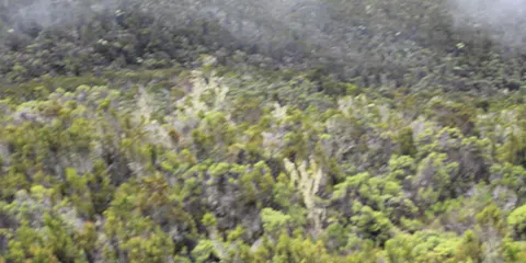 6 Days Rise to Glory Kilimanjaro Climb on Machame Route