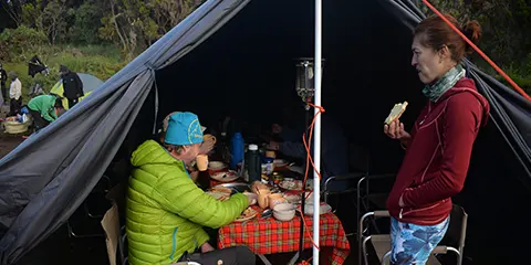 cover-7 Days Conquer Kilimanjaro Heights Machame Route Trekking