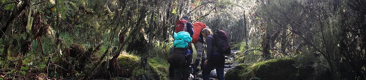 Kilimanjaro Machame Route