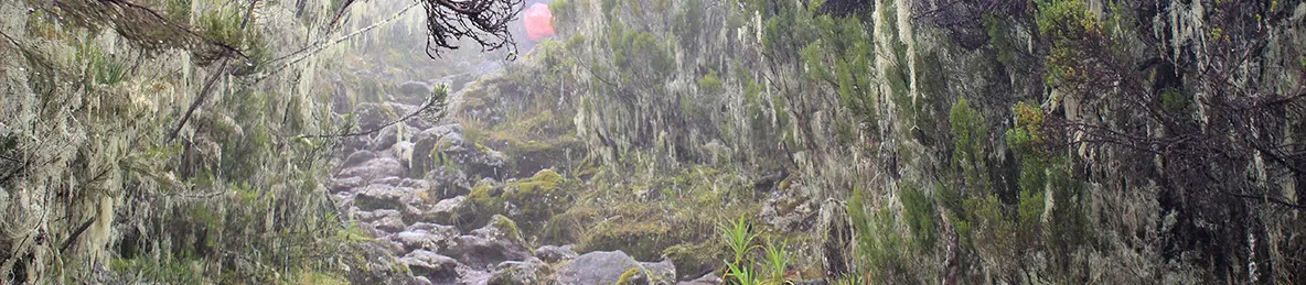 Kilimanjaro Machame Route