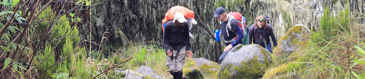 Kilimanjaro Machame Route