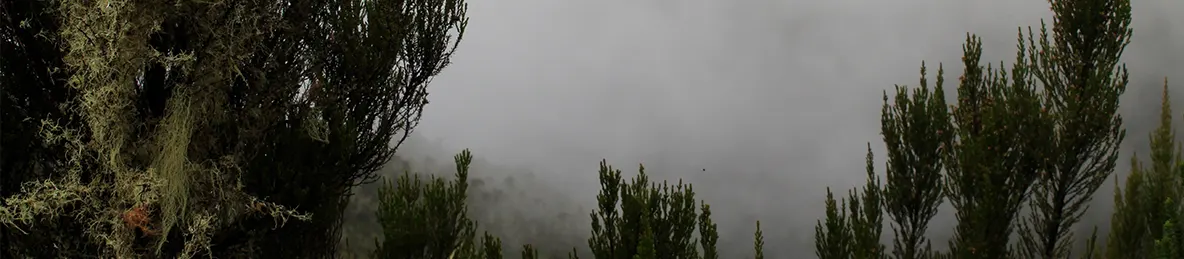 Kilimanjaro Machame Route