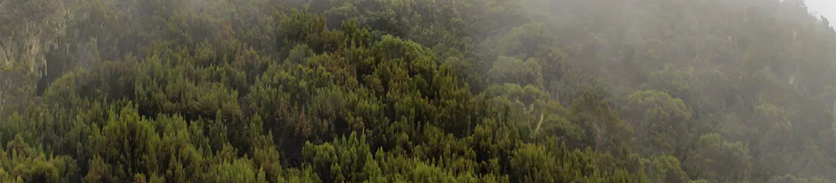 Kilimanjaro Machame Route