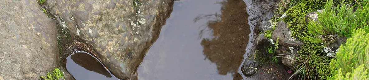 Kilimanjaro Machame Route