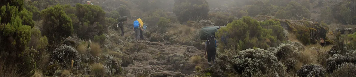 Kilimanjaro Machame Route