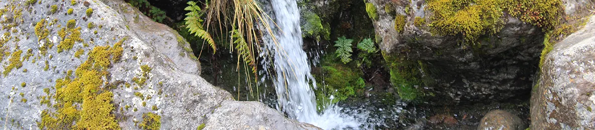Kilimanjaro Machame Route