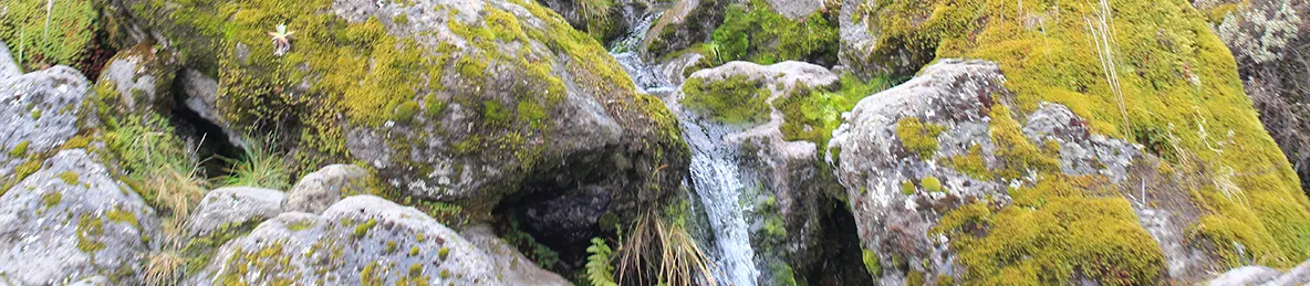 Kilimanjaro Machame Route