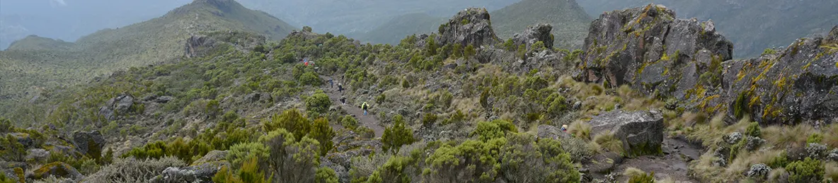 Kilimanjaro Machame Route