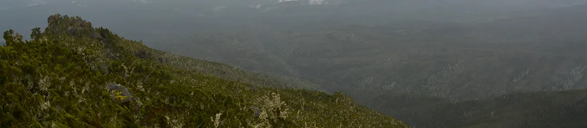 Kilimanjaro Machame Route