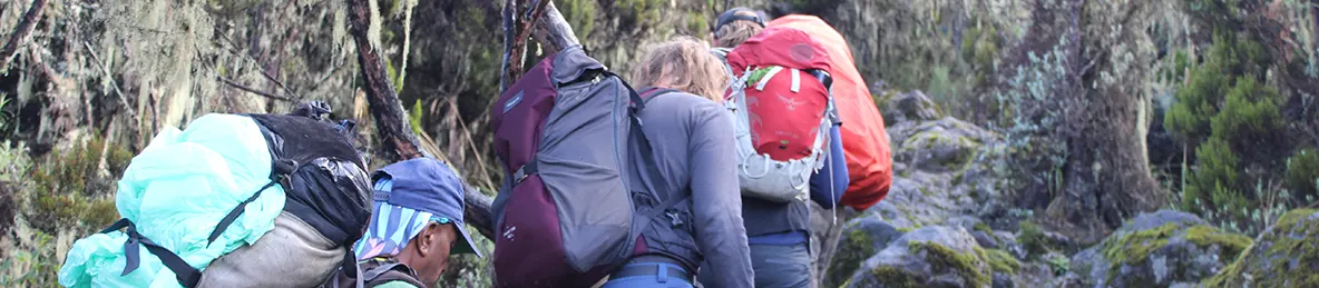 Kilimanjaro Machame Route