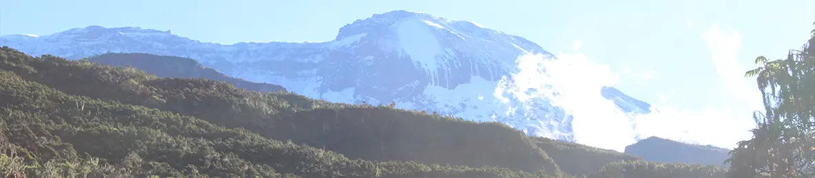 Kilimanjaro Machame Route