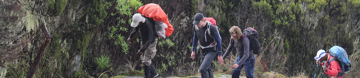 Kilimanjaro Machame Route