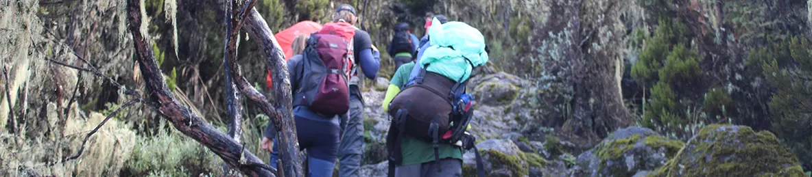 Kilimanjaro Machame Route