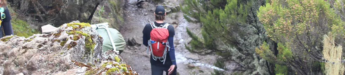 Kilimanjaro Machame Route