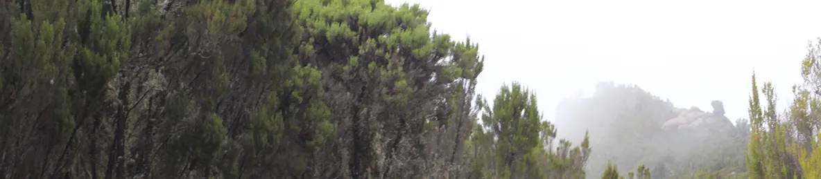 Kilimanjaro Machame Route