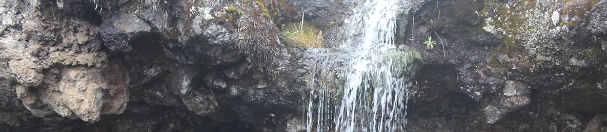 Kilimanjaro Machame Route