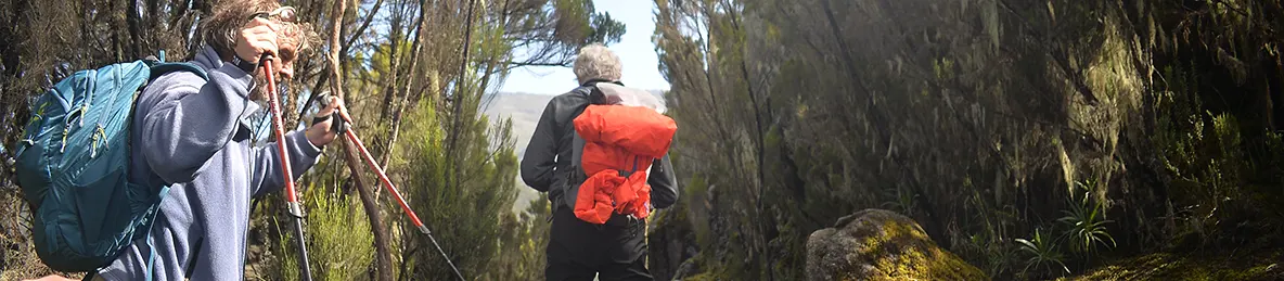 Kilimanjaro Machame Route