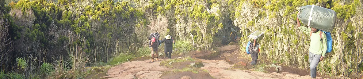 Kilimanjaro Machame Route