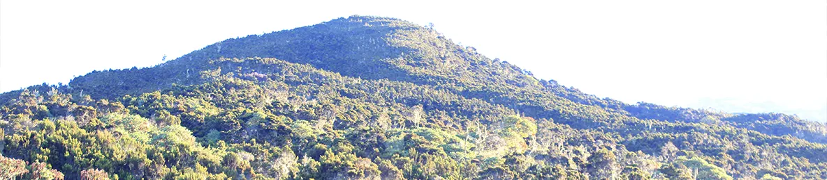 Kilimanjaro Machame Route