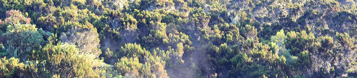 Kilimanjaro Machame Route