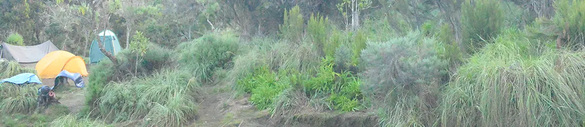 Kilimanjaro Machame Route