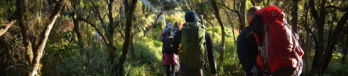 Kilimanjaro Machame Route